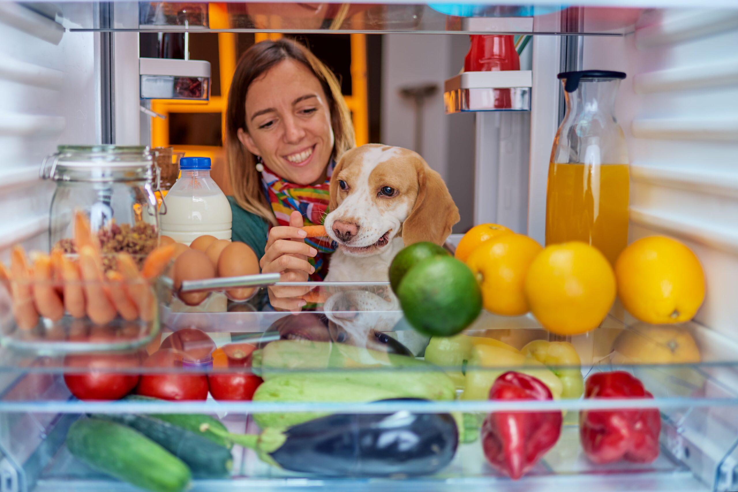 Frau füttert Hund, während sie vor einem Kühlschrank voller Lebensmittel steht. Das Bild wurde aus dem Inneren des Kühlschranks aufgenommen.