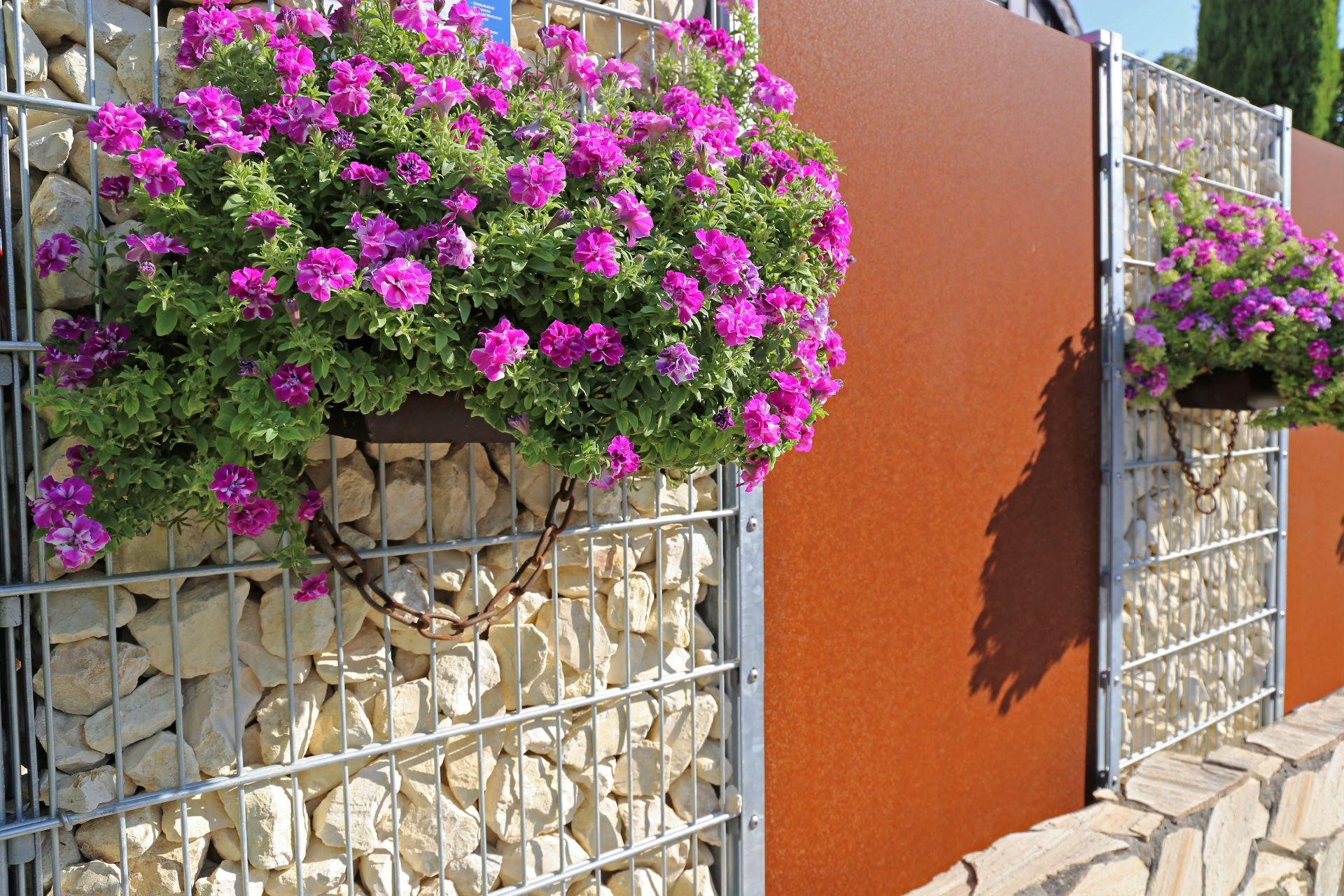 Gabione mit Sichtschutzelementen und Blumen