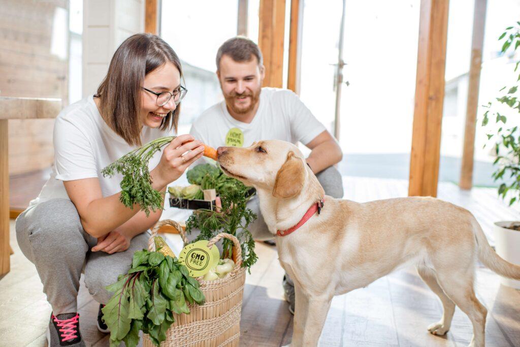 Junges Paar füttert seinen Hund zu Hause mit gesundem Grünfutter vom Ökomarkt