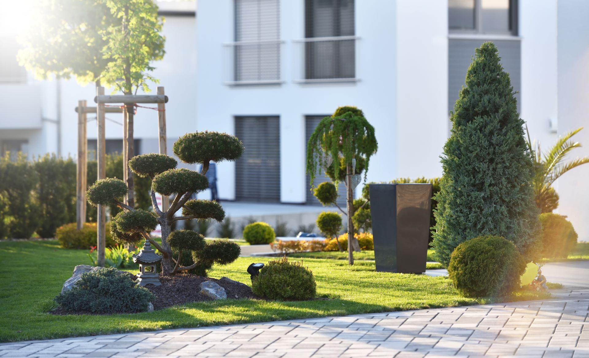 Schöne moderne Blumenbeet mit Koniferen Sträucher und ein Bonsai-Baum auf dem Hintergrund der außerhalb eines Hauses in einer europäischen Stadt