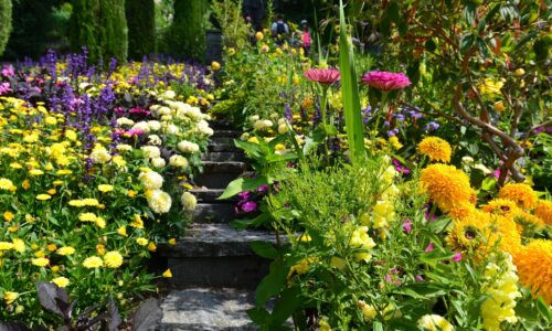 Mediterrane Akzente für den heimischen Garten