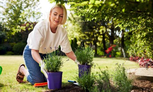 Pflegeleichte Pflanzen für einen langlebigen Garten
